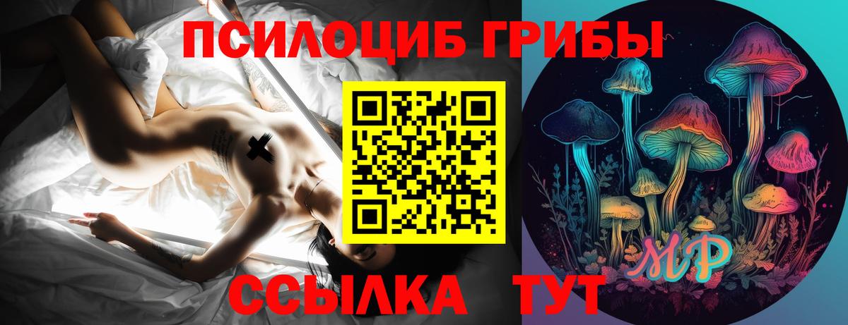 Галлюциногенные грибы GOLDEN TEACHER  Вход с VPN  Южно-Сахалинск 