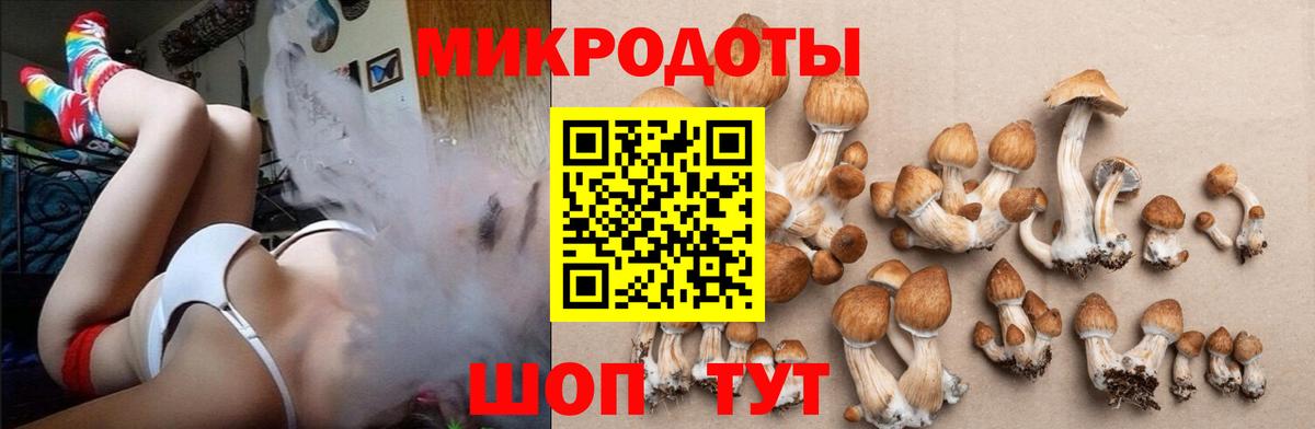Галлюциногенные грибы мицелий Южно-Сахалинск